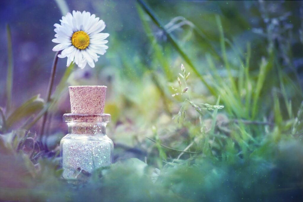 bottle, flower, natural, sweet, green, magic, spell, beautiful flowers, flower wallpaper, dust, colorful, summer, color, day, nature, spell, spell, spell, spell, spell, dust, flower background, dust, dust