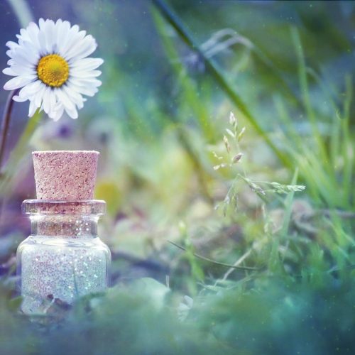 bottle, flower, natural, sweet, green, magic, spell, beautiful flowers, flower wallpaper, dust, colorful, summer, color, day, nature, spell, spell, spell, spell, spell, dust, flower background, dust, dust